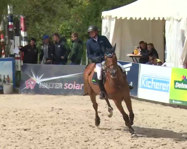 HORSE classics Killingen 2016