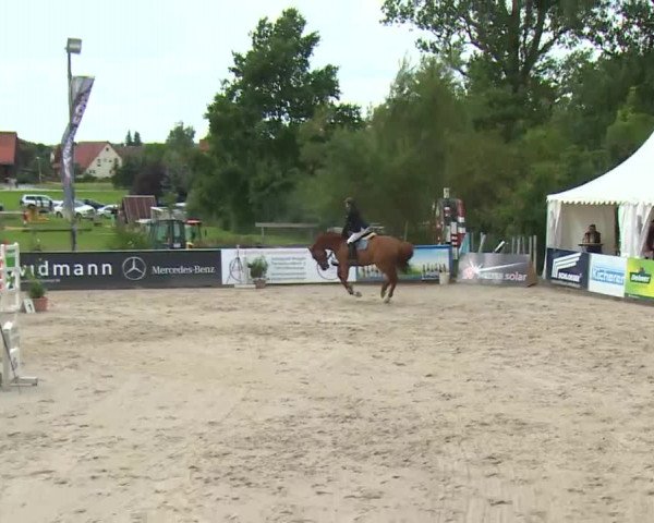 HORSE classics Killingen 2016