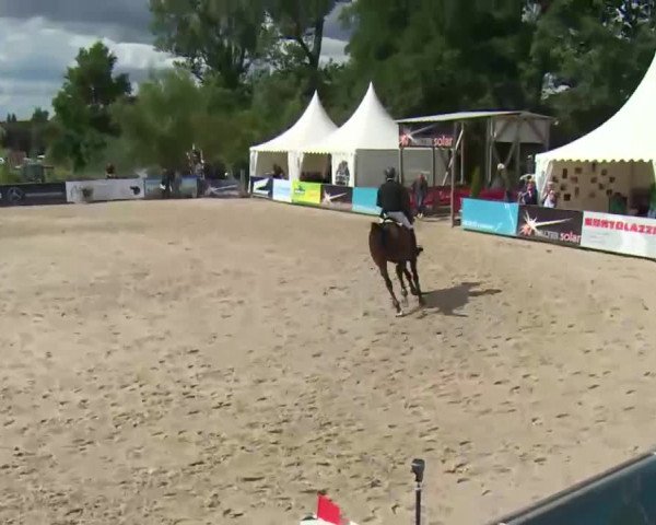HORSE classics Killingen 2016