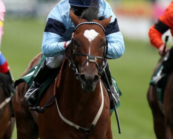 stallion Approve xx (Thoroughbred, 2008, from Oasis Dream xx)