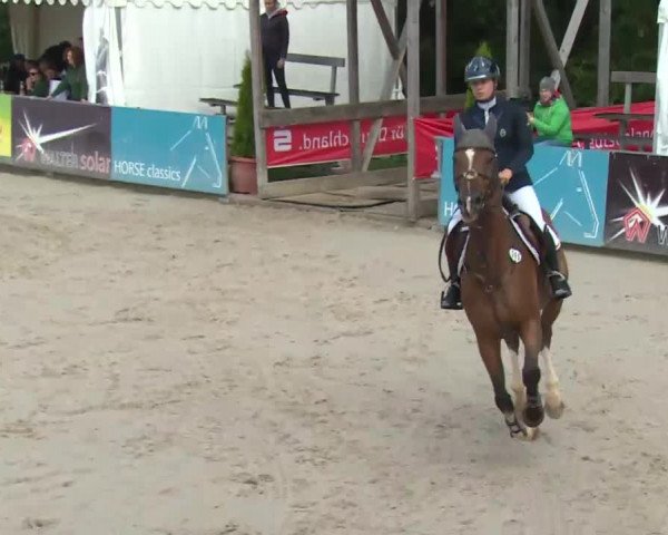 HORSE classics Killingen 2016