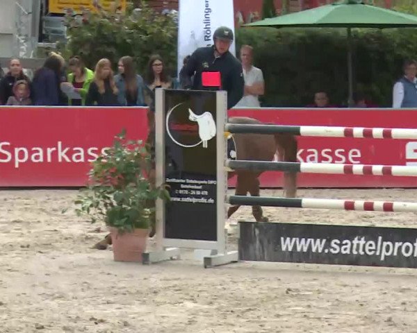 HORSE classics Killingen 2016