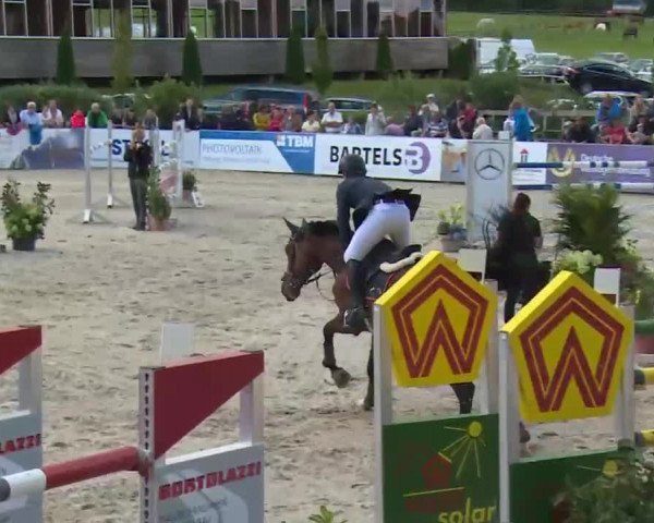HORSE classics Killingen 2016