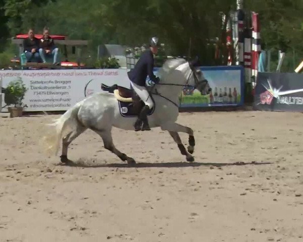 HORSE classics Killingen 2016