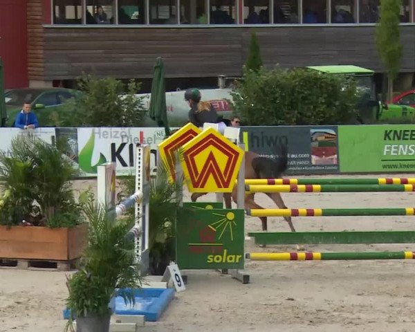 HORSE classics Killingen 2016