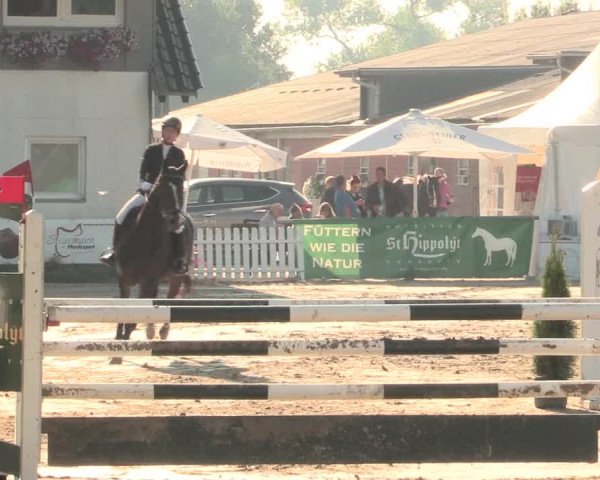 Reitturnier Datteln 2016