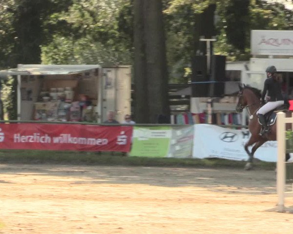 Reitturnier Datteln 2016