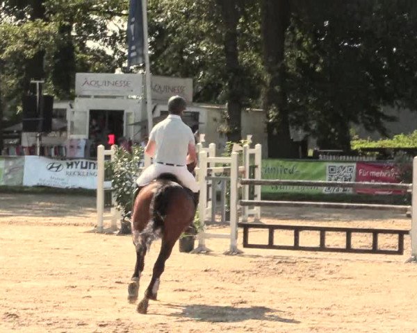 Reitturnier Datteln 2016