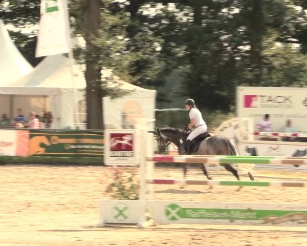 Reitturnier Datteln 2016