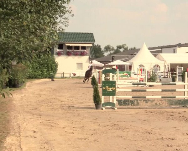 Reitturnier Datteln 2016
