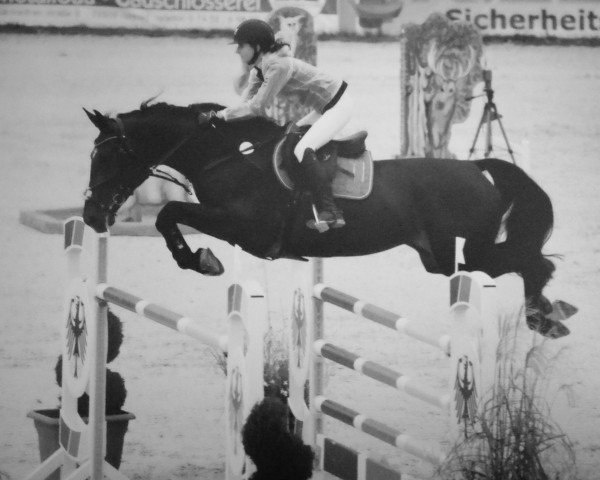 broodmare Conteur's Cascada G (Württemberger, 2010, from Conteur)