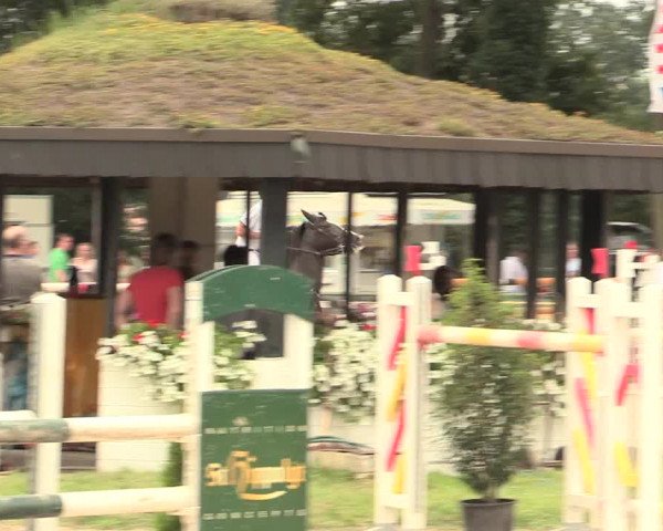 Reitturnier Datteln 2016