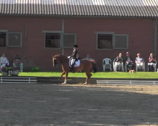 Reitturnier Datteln 2016