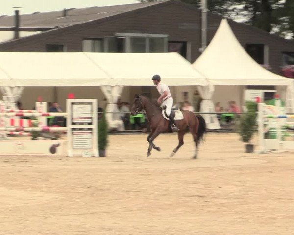 Reitturnier Datteln 2016