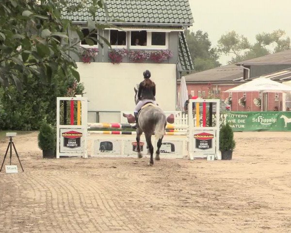 Reitturnier Datteln 2016