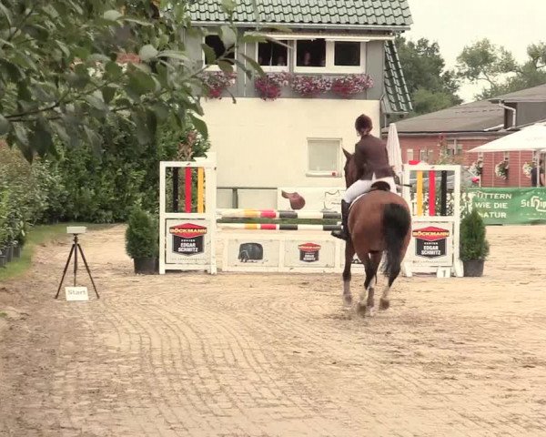 Reitturnier Datteln 2016