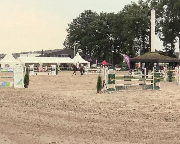 Reitturnier Datteln 2016