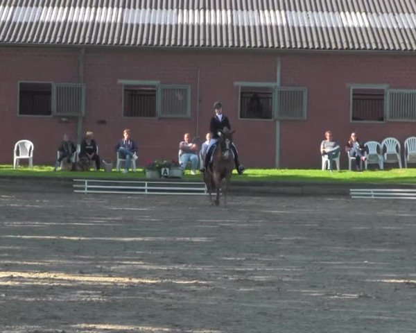 Reitturnier Datteln 2016