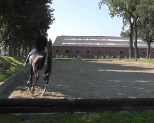 Reitturnier Datteln 2016