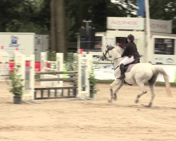 Reitturnier Datteln 2016