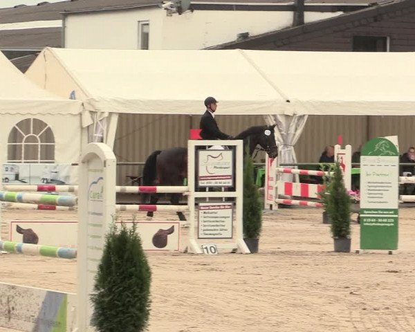 Reitturnier Datteln 2016