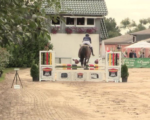 Reitturnier Datteln 2016