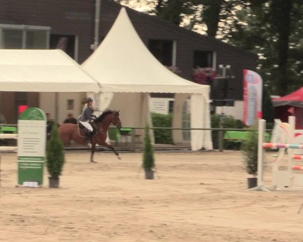 Reitturnier Datteln 2016
