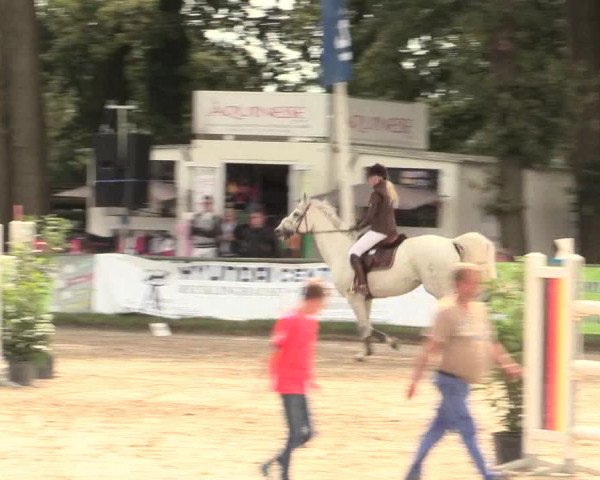 Reitturnier Datteln 2016