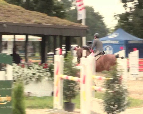 Reitturnier Datteln 2016