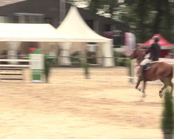 Reitturnier Datteln 2016