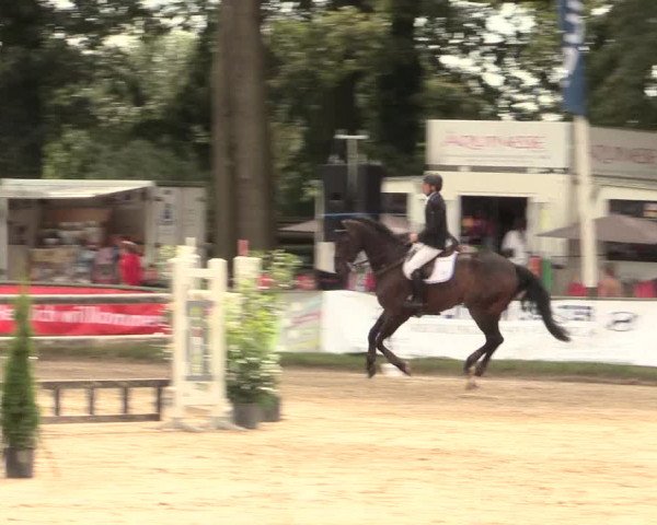 Reitturnier Datteln 2016