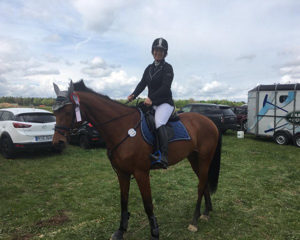 jumper Elektra 179 (Holsteiner, 2012, from Conzil 2)