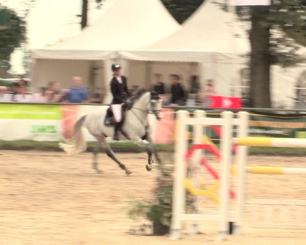 Reitturnier Datteln 2016