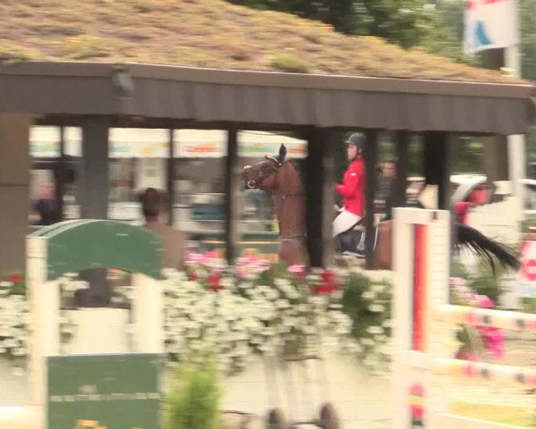 Reitturnier Datteln 2016