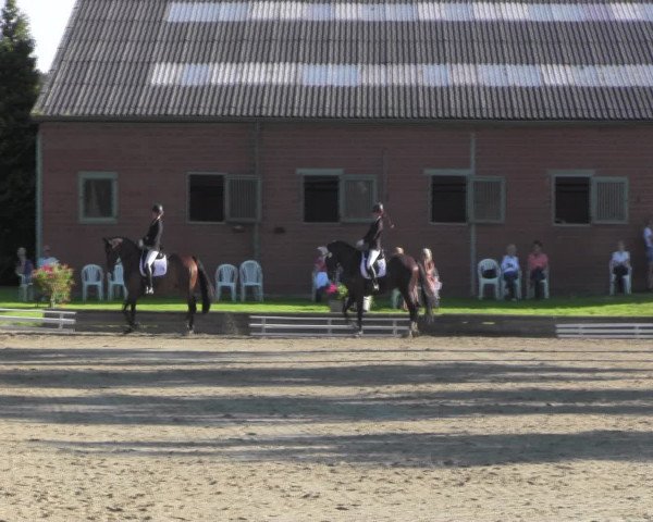 Reitturnier Datteln 2016