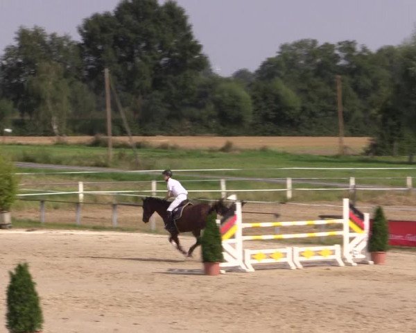 Sommerturnier Altenberge 2016
