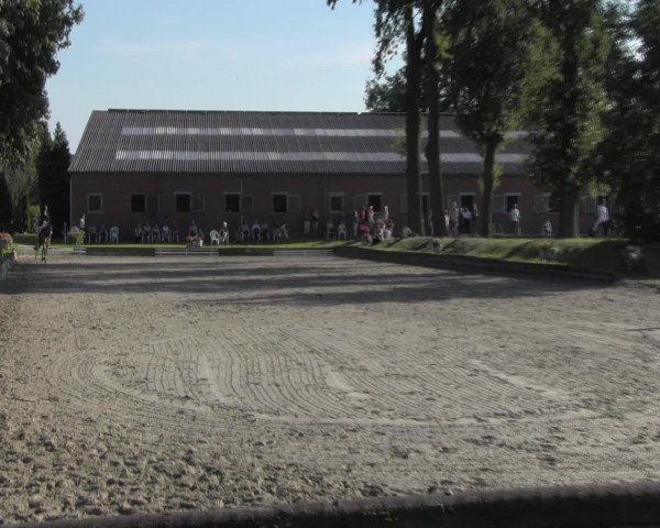 Reitturnier Datteln 2016