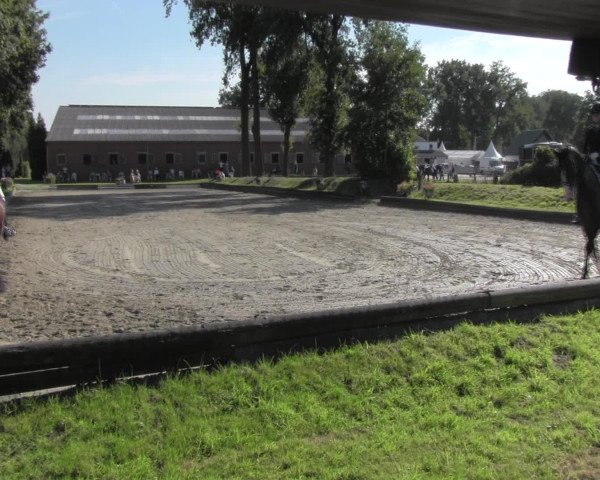 Reitturnier Datteln 2016