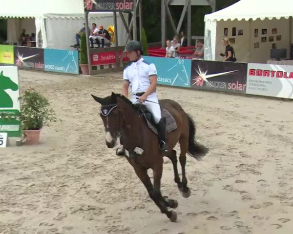 HORSE classics Killingen 2016