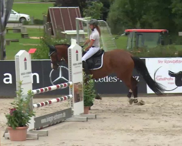 HORSE classics Killingen 2016
