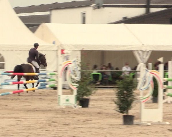 Reitturnier Datteln 2016