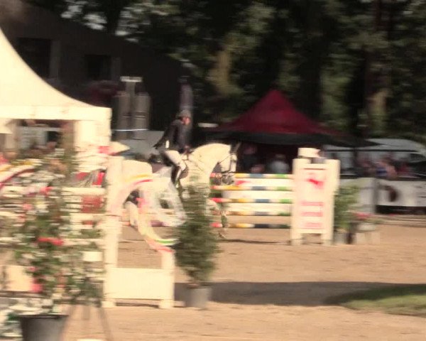 Reitturnier Datteln 2016