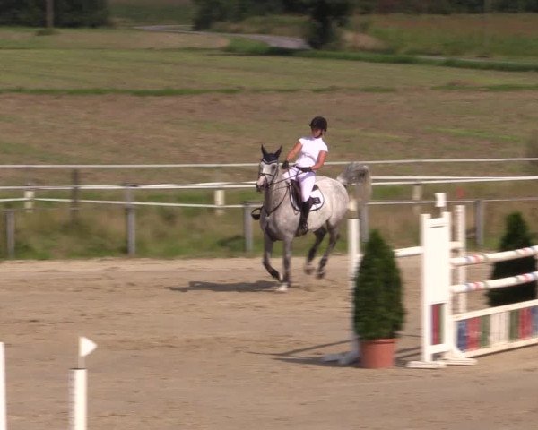 Sommerturnier Altenberge 2016