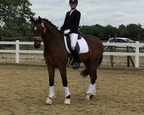 dressage horse Eddie (Westphalian, 2015, from Escolar)