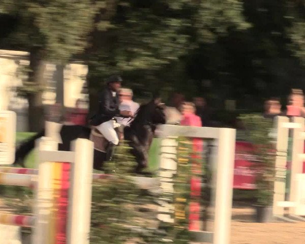Reitturnier Datteln 2016