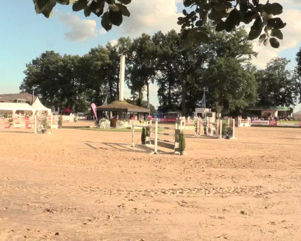 Reitturnier Datteln 2016