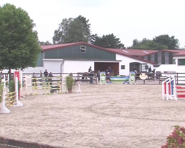 Reitturnier HH-Klein Offenseth/Hell-Stallion-Stud 2016