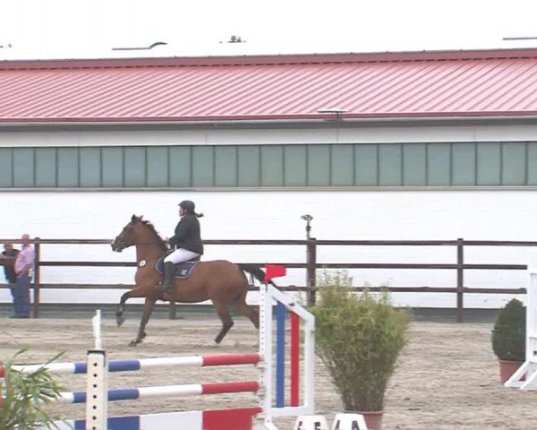 Reitturnier HH-Klein Offenseth/Hell-Stallion-Stud 2016