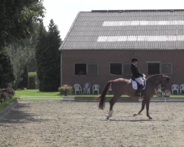 Reitturnier Datteln 2016