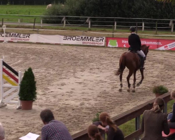 Sommerturnier Altenberge 2016